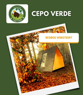 Cepo